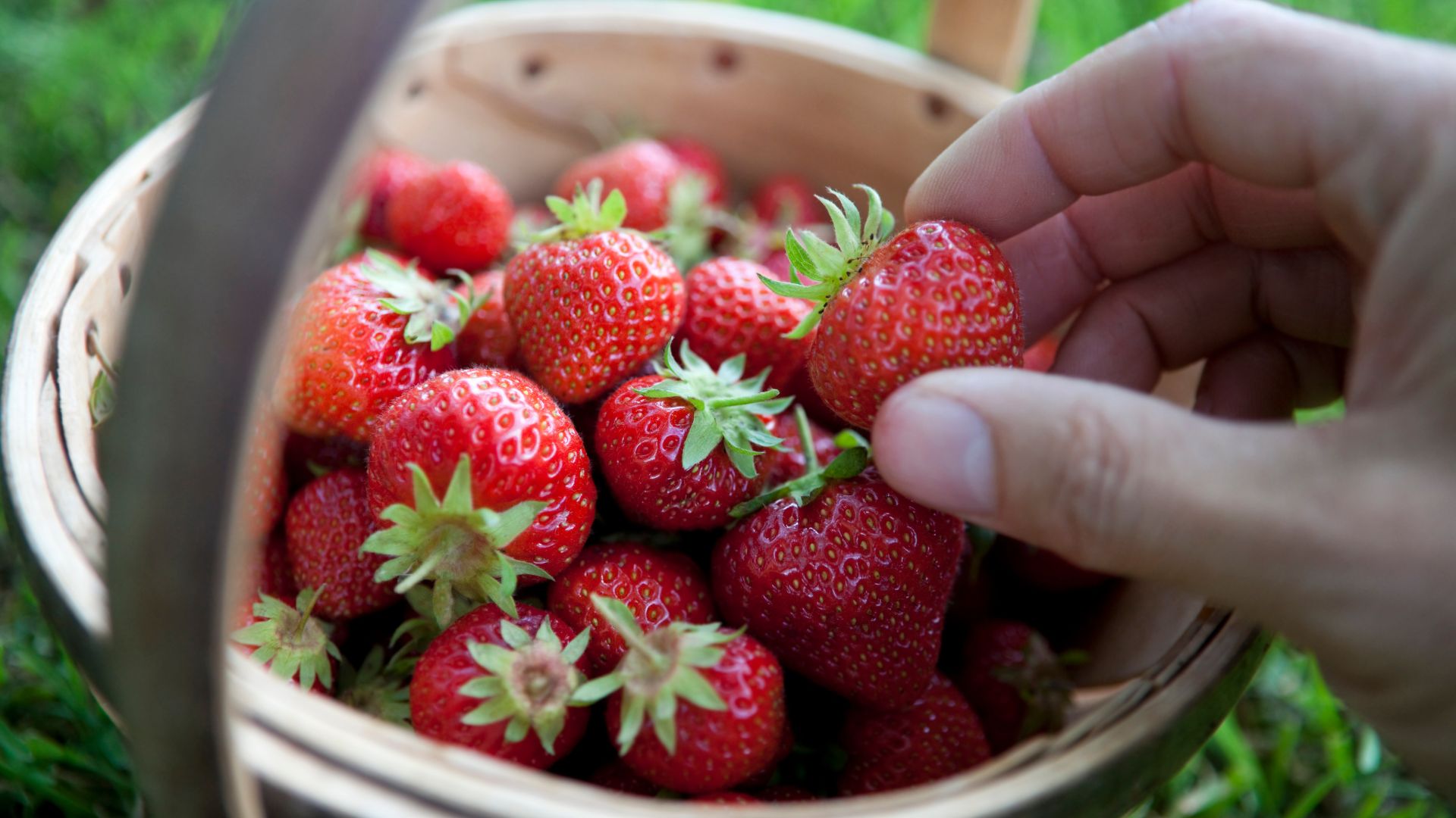 slider-self-sufficiency-food